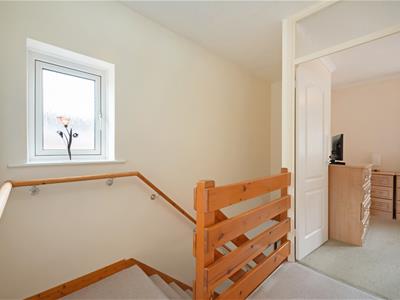 Picture 14